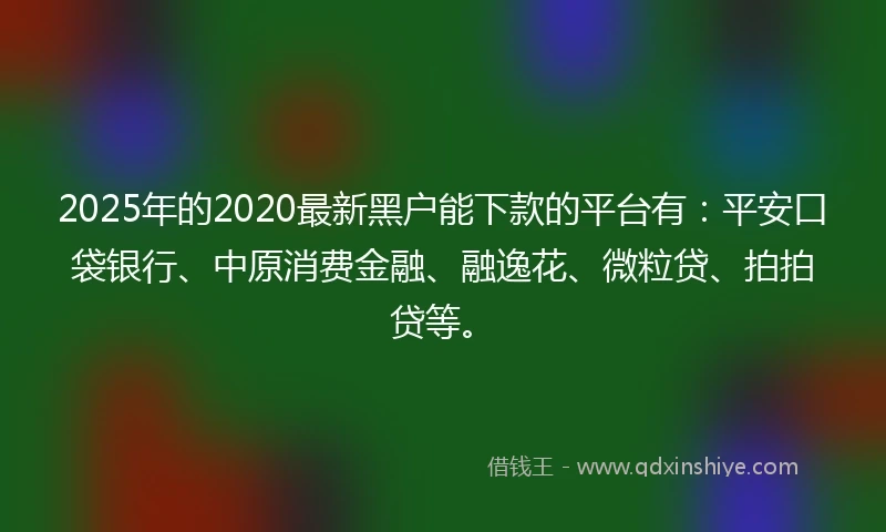 2025年的2020最新黑户能下款的平台有：平安口袋银行、中原消费金融、融逸花、微粒贷、拍拍贷等。