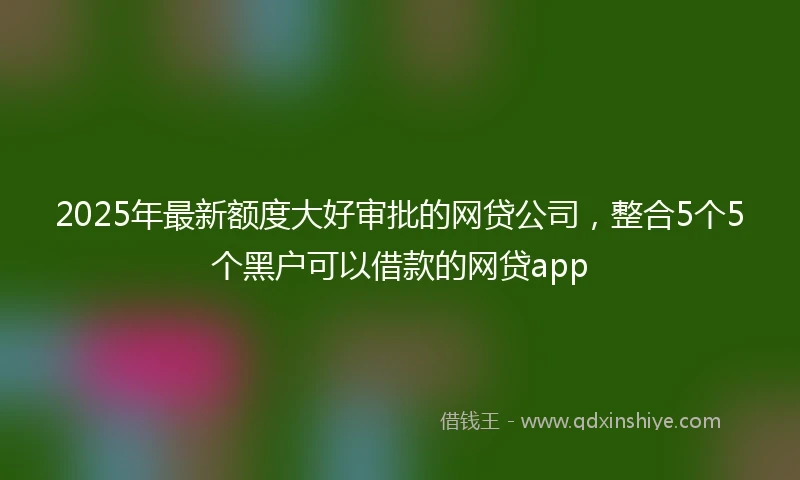 2025年最新额度大好审批的网贷公司，整合5个5个黑户可以借款的网贷app