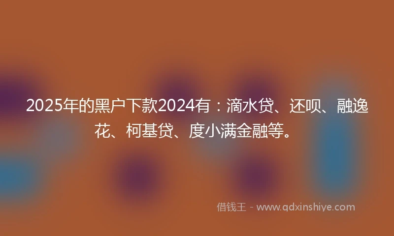 2025年的黑户下款2024有：滴水贷、还呗、融逸花、柯基贷、度小满金融等。