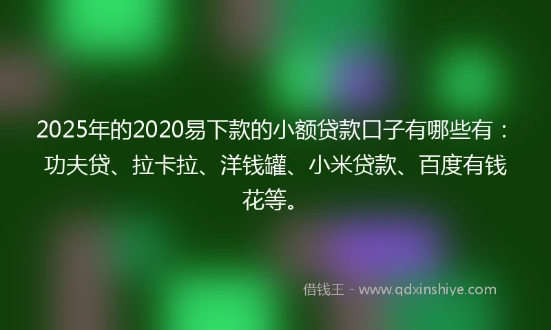 2025年的2020易下款的小额贷款口子有哪些有：功夫贷、拉卡拉、洋钱罐、小米贷款、百度有钱花等。