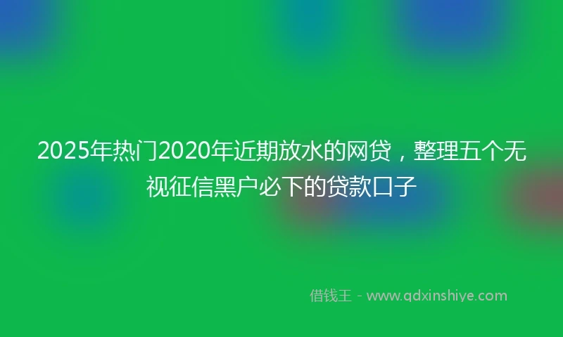 2025年热门2020年近期放水的网贷，整理五个无视征信黑户必下的贷款口子