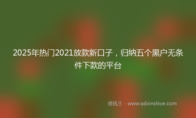 2025年热门2021放款新口子，归纳五个黑户无条件下款的平台