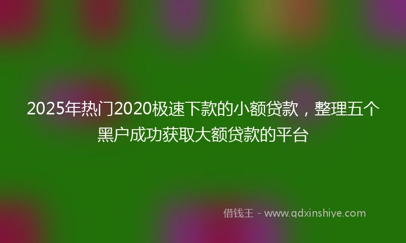 2025年热门2020极速下款的小额贷款，整理五个黑户成功获取大额贷款的平台