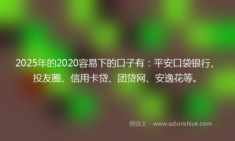 2025年的2020容易下的口子有：平安口袋银行、投友圈、信用卡贷、团贷网、安逸花等。