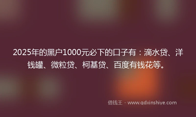 2025年的黑户1000元必下的口子有：滴水贷、洋钱罐、微粒贷、柯基贷、百度有钱花等。