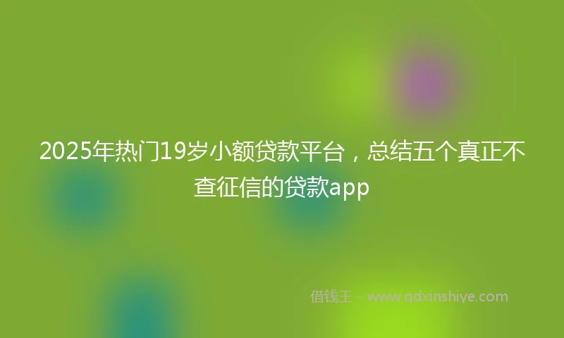 2025年热门19岁小额贷款平台，总结五个真正不查征信的贷款app