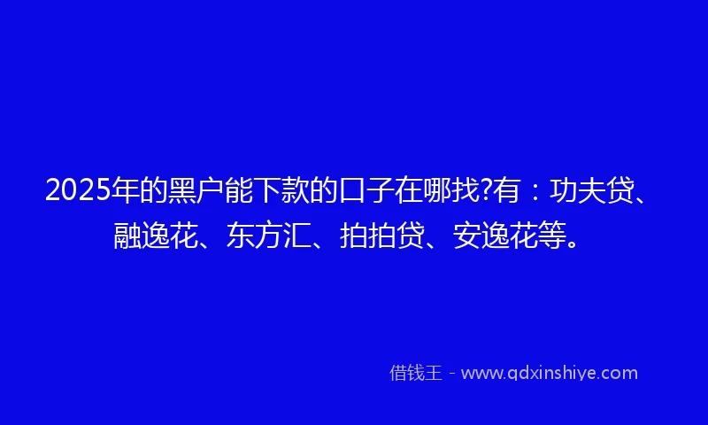 2025年的黑户能下款的口子在哪找?有：功夫贷、融逸花、东方汇、拍拍贷、安逸花等。