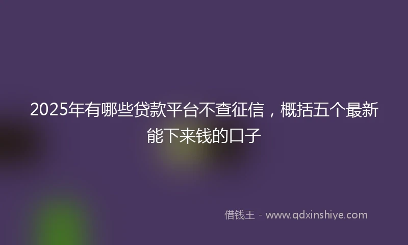 2025年有哪些贷款平台不查征信，概括五个最新能下来钱的口子