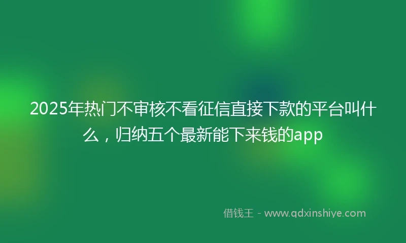 2025年热门不审核不看征信直接下款的平台叫什么，归纳五个最新能下来钱的app