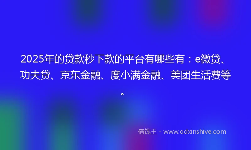 2025年的贷款秒下款的平台有哪些有：e微贷、功夫贷、京东金融、度小满金融、美团生活费等。