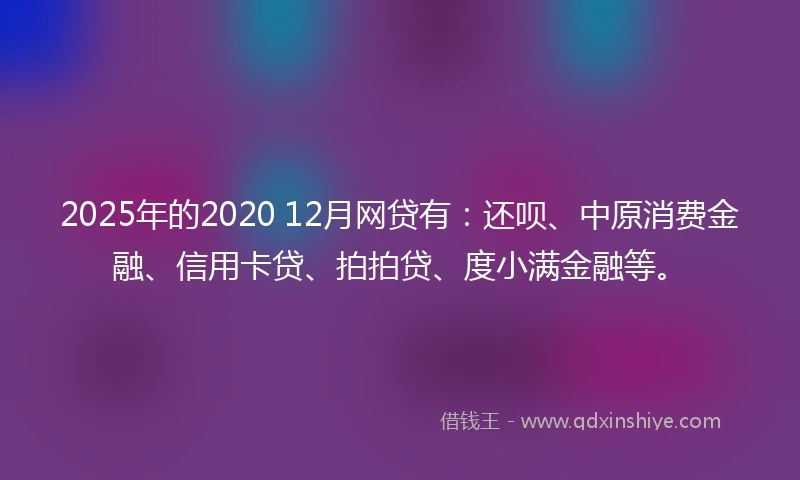 2025年的2020 12月网贷有：还呗、中原消费金融、信用卡贷、拍拍贷、度小满金融等。