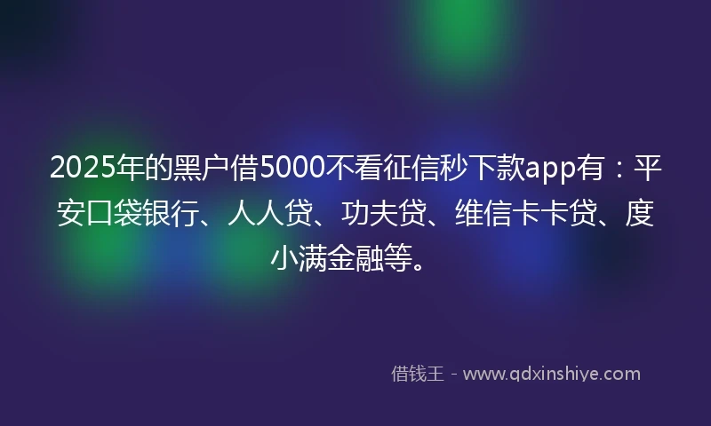 2025年的黑户借5000不看征信秒下款app有：平安口袋银行、人人贷、功夫贷、维信卡卡贷、度小满金融等。