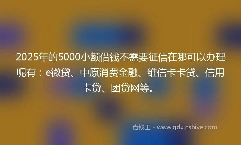 2025年的5000小额借钱不需要征信在哪可以办理呢有：e微贷、中原消费金融、维信卡卡贷、信用卡贷、团贷网等。