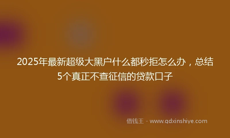 2025年最新超级大黑户什么都秒拒怎么办，总结5个真正不查征信的贷款口子