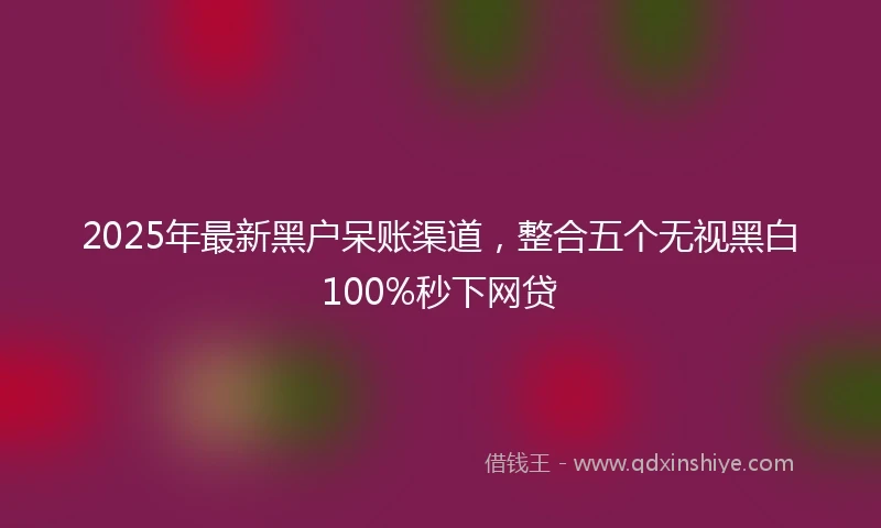 2025年最新黑户呆账渠道，整合五个无视黑白100%秒下网贷
