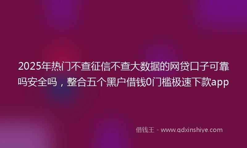 2025年热门不查征信不查大数据的网贷口子可靠吗安全吗，整合五个黑户借钱0门槛极速下款app