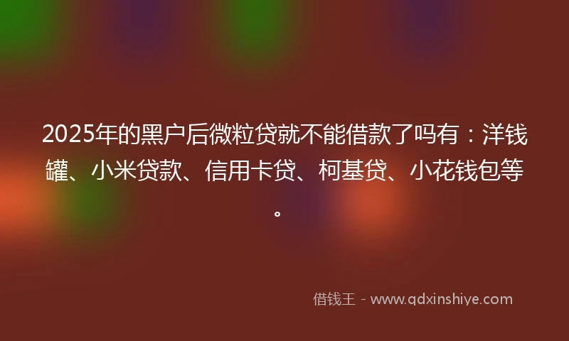 2025年的黑户后微粒贷就不能借款了吗有：洋钱罐、小米贷款、信用卡贷、柯基贷、小花钱包等。