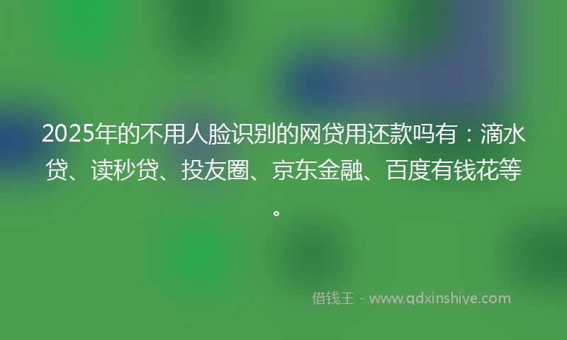 2025年的不用人脸识别的网贷用还款吗有：滴水贷、读秒贷、投友圈、京东金融、百度有钱花等。