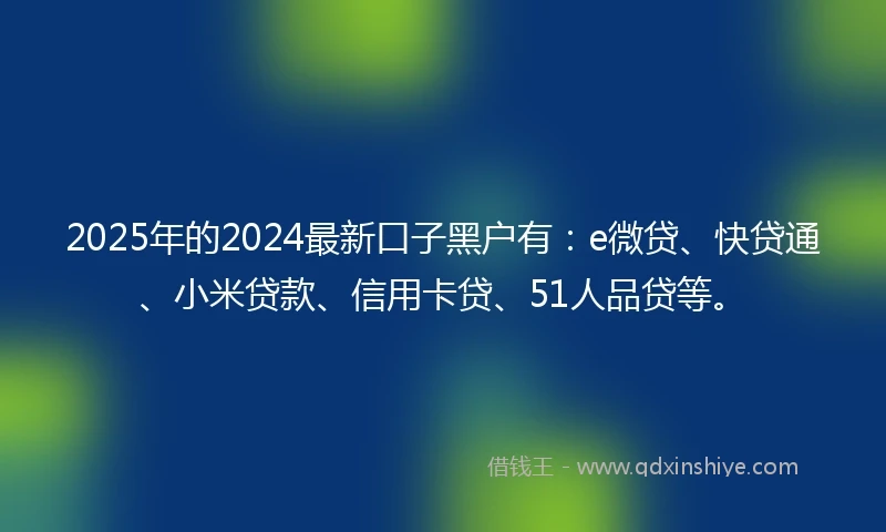 2025年的2024最新口子黑户有：e微贷、快贷通、小米贷款、信用卡贷、51人品贷等。