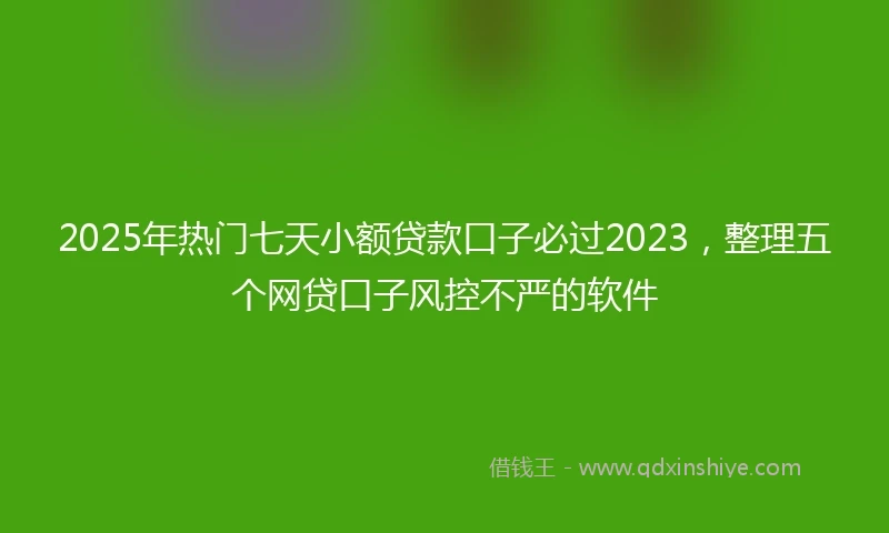 2025年热门七天小额贷款口子必过2023，整理五个网贷口子风控不严的软件