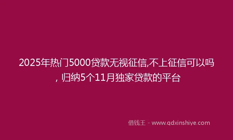2025年热门5000贷款无视征信,不上征信可以吗，归纳5个11月独家贷款的平台