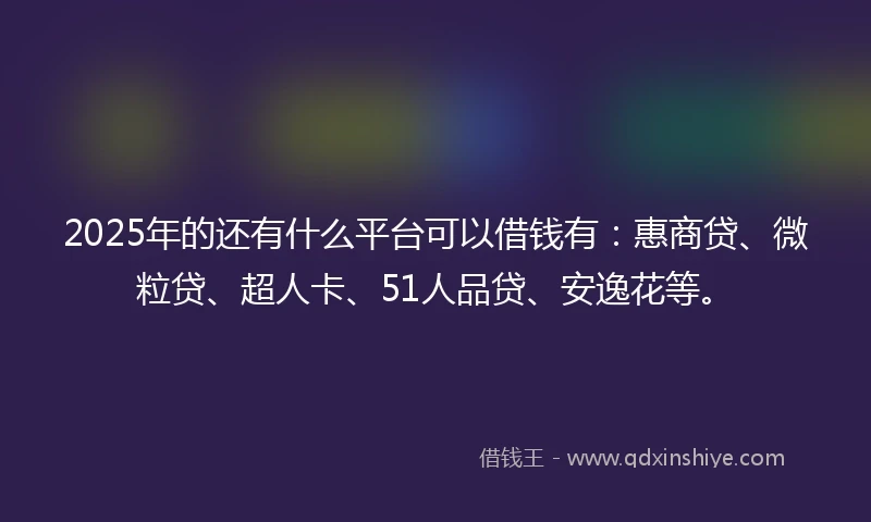 2025年的还有什么平台可以借钱有：惠商贷、微粒贷、超人卡、51人品贷、安逸花等。