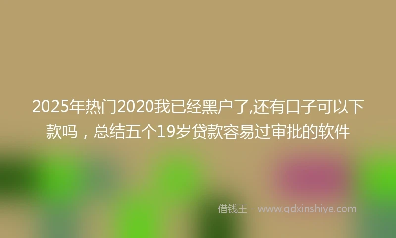 2025年热门2020我已经黑户了,还有口子可以下款吗，总结五个19岁贷款容易过审批的软件