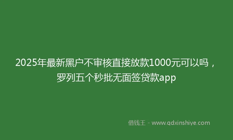 2025年最新黑户不审核直接放款1000元可以吗，罗列五个秒批无面签贷款app