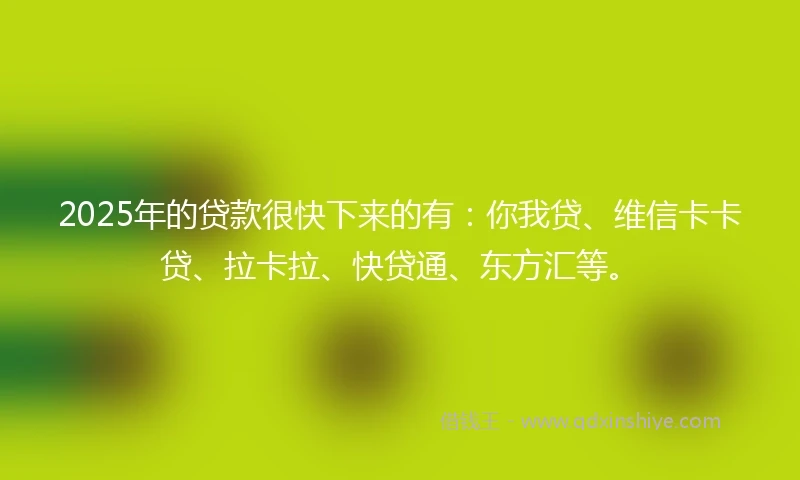 2025年的贷款很快下来的有：你我贷、维信卡卡贷、拉卡拉、快贷通、东方汇等。