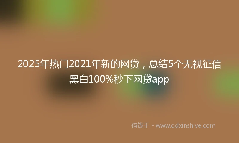 2025年热门2021年新的网贷，总结5个无视征信黑白100%秒下网贷app