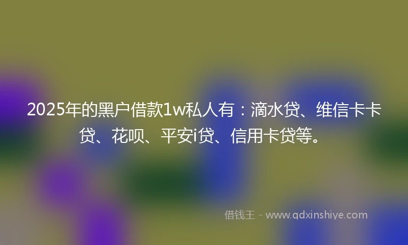 2025年的黑户借款1w私人有：滴水贷、维信卡卡贷、花呗、平安i贷、信用卡贷等。