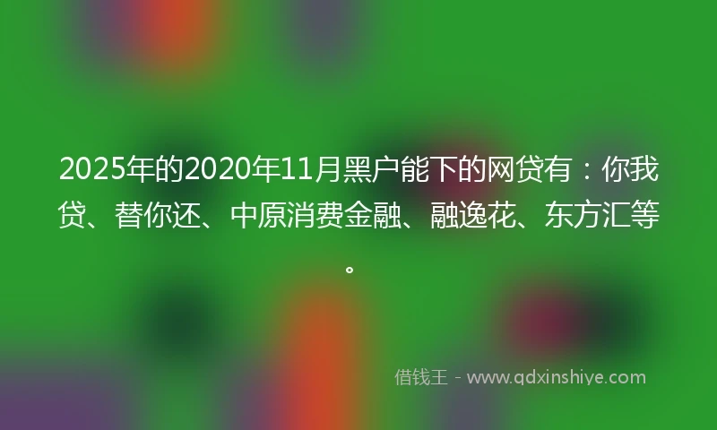 2025年的2020年11月黑户能下的网贷有：你我贷、替你还、中原消费金融、融逸花、东方汇等。