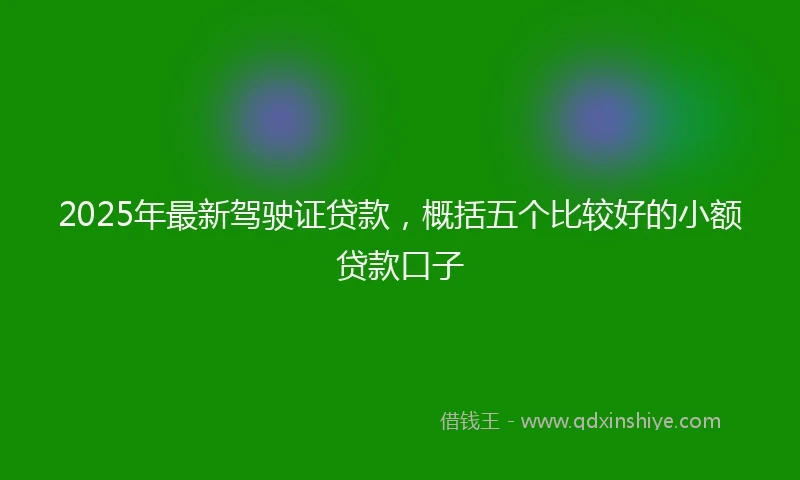2025年最新驾驶证贷款，概括五个比较好的小额贷款口子