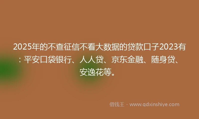 2025年的不查征信不看大数据的贷款口子2023有：平安口袋银行、人人贷、京东金融、随身贷、安逸花等。