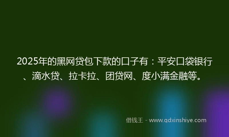 2025年的黑网贷包下款的口子有：平安口袋银行、滴水贷、拉卡拉、团贷网、度小满金融等。