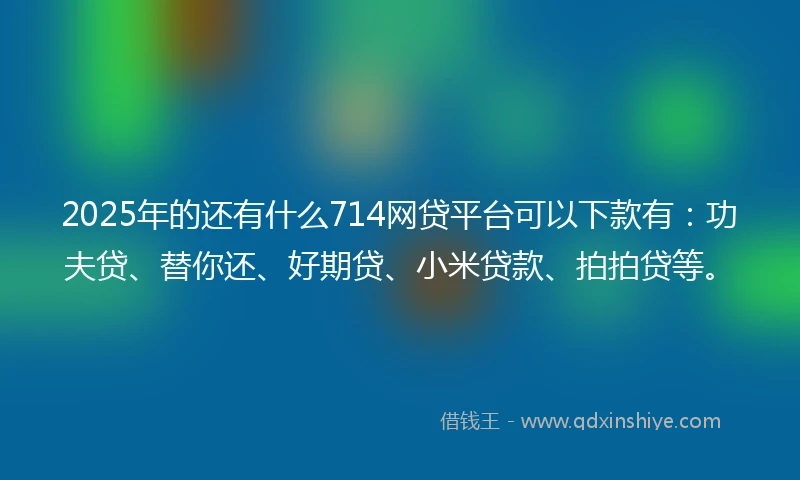 2025年的还有什么714网贷平台可以下款有：功夫贷、替你还、好期贷、小米贷款、拍拍贷等。