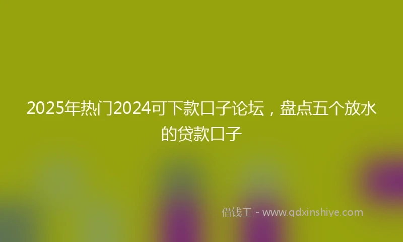 2025年热门2024可下款口子论坛，盘点五个放水的贷款口子