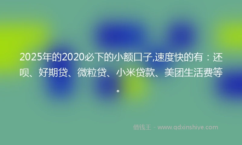 2025年的2020必下的小额口子,速度快的有：还呗、好期贷、微粒贷、小米贷款、美团生活费等。