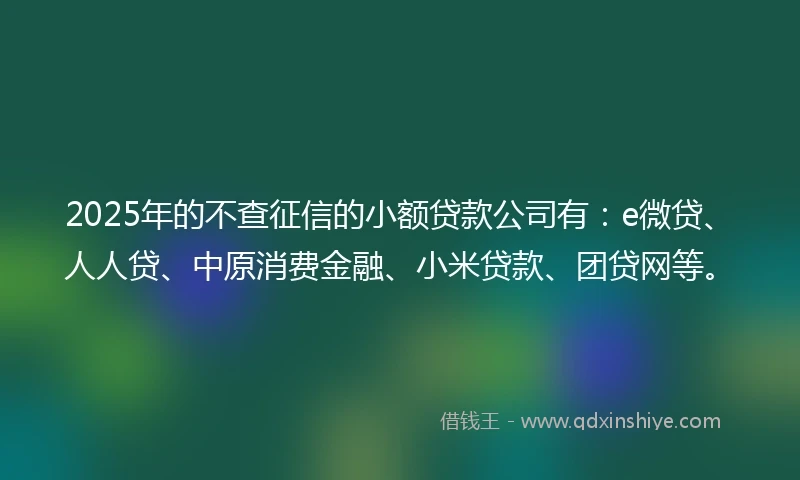 2025年的不查征信的小额贷款公司有：e微贷、人人贷、中原消费金融、小米贷款、团贷网等。