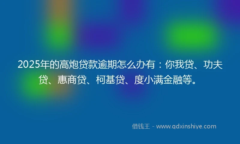 2025年的高炮贷款逾期怎么办有：你我贷、功夫贷、惠商贷、柯基贷、度小满金融等。