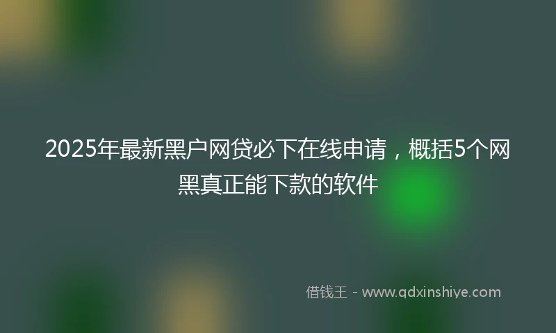 2025年最新黑户网贷必下在线申请，概括5个网黑真正能下款的软件