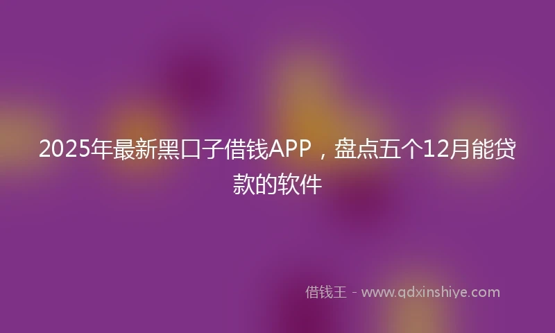 2025年最新黑口子借钱APP，盘点五个12月能贷款的软件