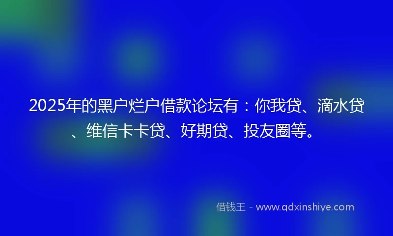 2025年的黑户烂户借款论坛有：你我贷、滴水贷、维信卡卡贷、好期贷、投友圈等。