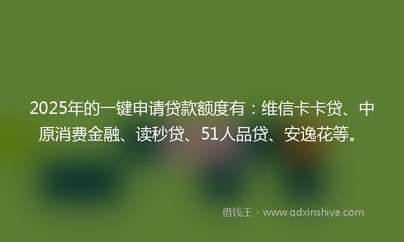 2025年的一键申请贷款额度有：维信卡卡贷、中原消费金融、读秒贷、51人品贷、安逸花等。