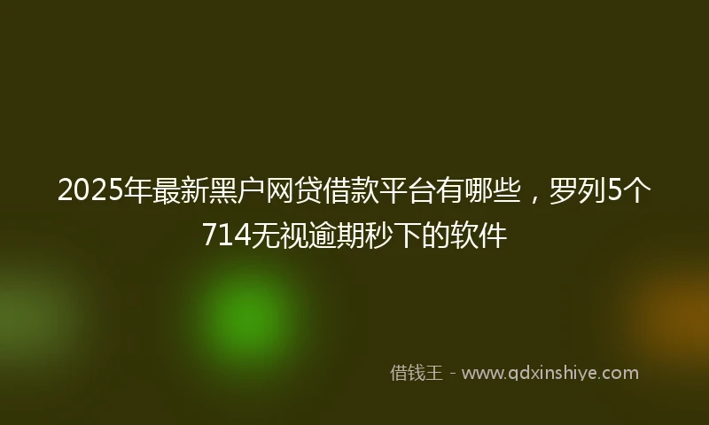 2025年最新黑户网贷借款平台有哪些，罗列5个714无视逾期秒下的软件
