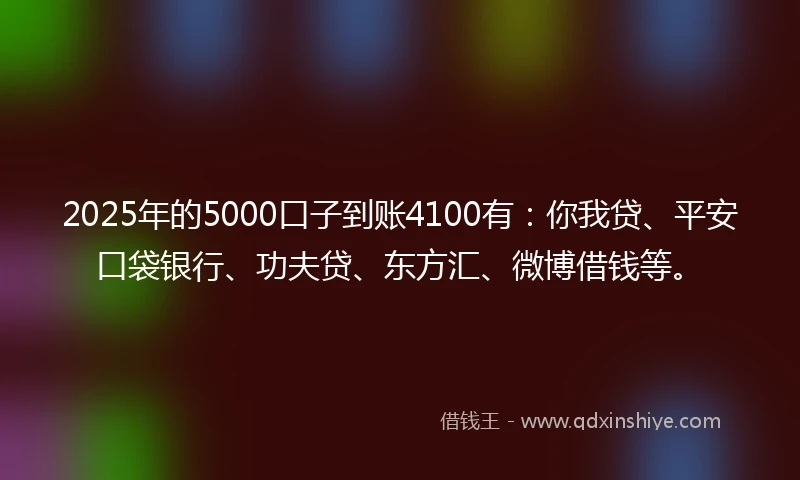 2025年的5000口子到账4100有：你我贷、平安口袋银行、功夫贷、东方汇、微博借钱等。