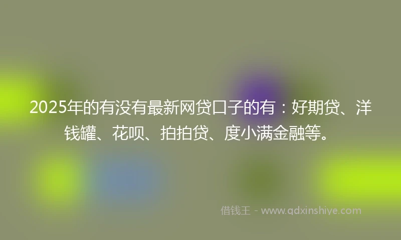 2025年的有没有最新网贷口子的有：好期贷、洋钱罐、花呗、拍拍贷、度小满金融等。