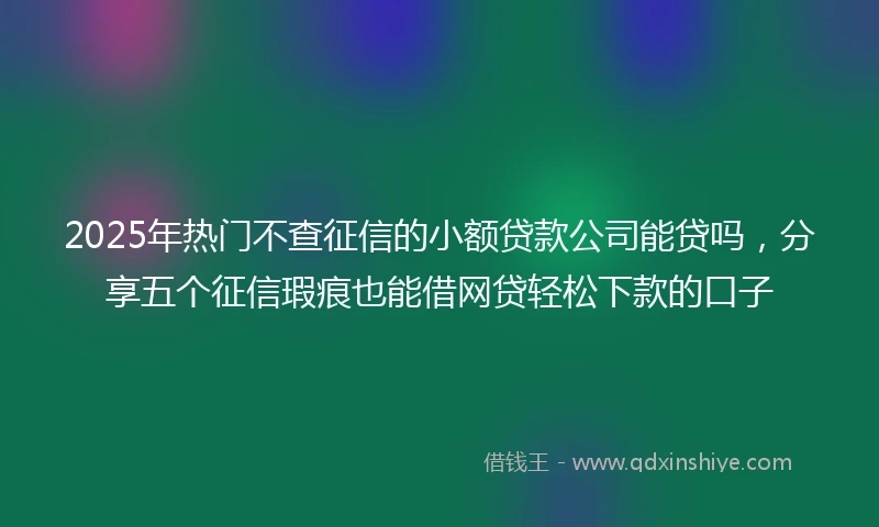 2025年热门不查征信的小额贷款公司能贷吗，分享五个征信瑕疵也能借网贷轻松下款的口子