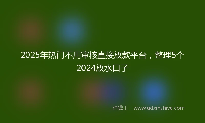 2025年热门不用审核直接放款平台，整理5个2024放水口子