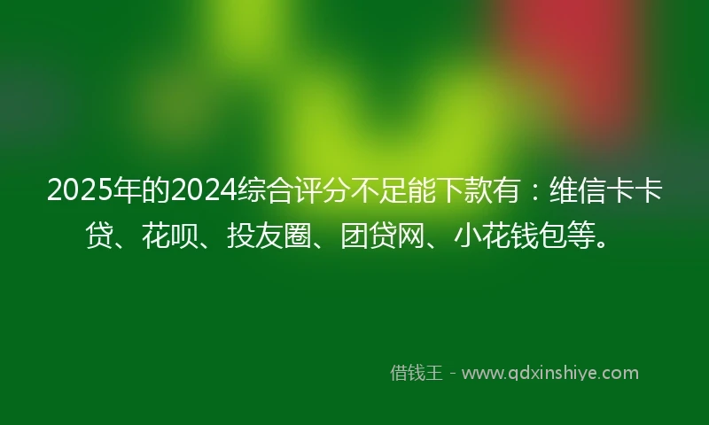 2025年的2024综合评分不足能下款有：维信卡卡贷、花呗、投友圈、团贷网、小花钱包等。
